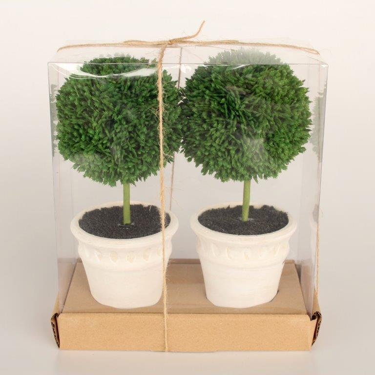 Set Of 2 Mini Topiaries